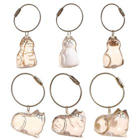 6-Piece Cat Hair Memorial Pendant Set - Pet Keepsake: Soft Fur Capsule Pendant, Portable Keychain
